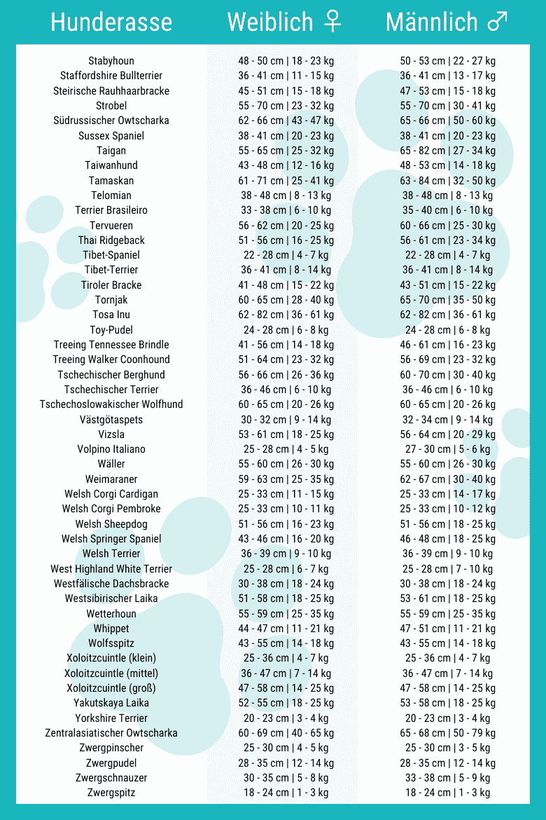 Hier findest du eine Tabelle aller Hunderassen, deren Größe sowie deren Gewicht in alphabetischer Reihenfolge. Diese Liste wird zudem stetig aktualisiert.