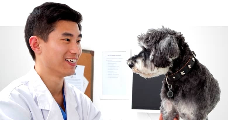 Hund mit Tierarzt